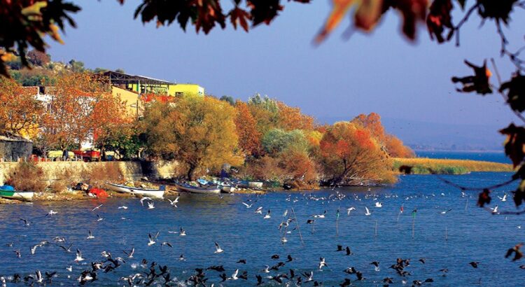 Bursa'nın Doğal Güzellikleri ve Piknik Alanları